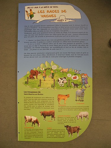 Totem n°3 consacré aux races de vaches. 