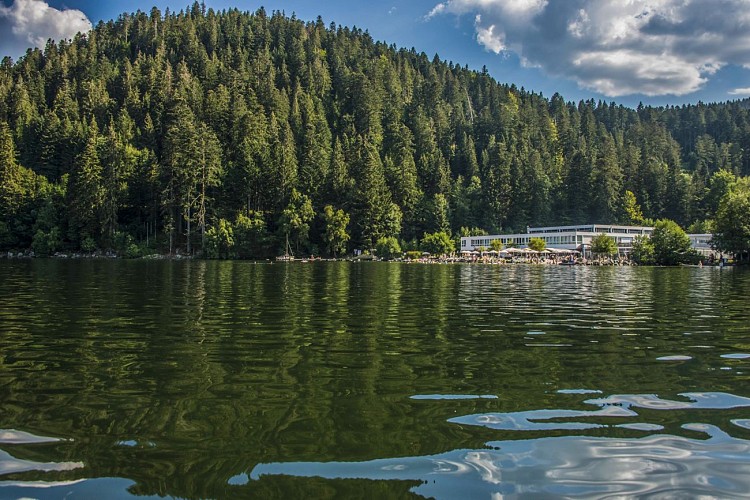 La nature au bord de l'eau; Entre lac et forêt