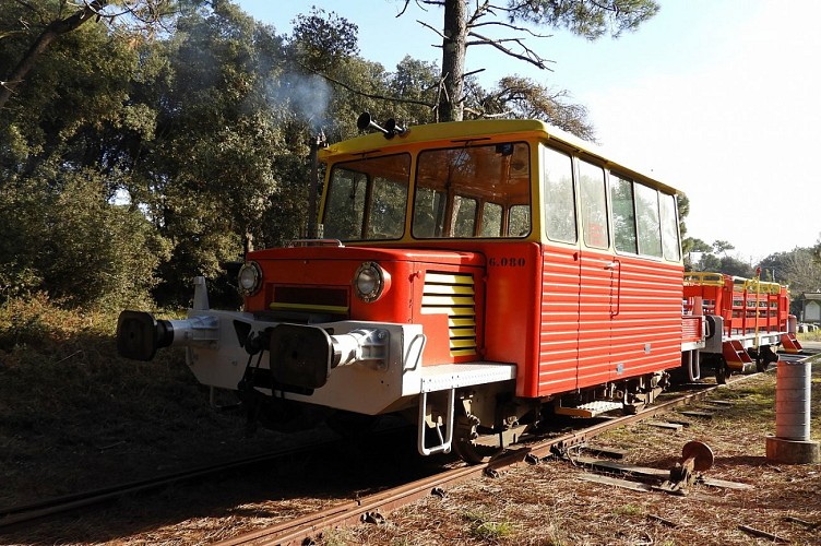 petit-train-site-web-2