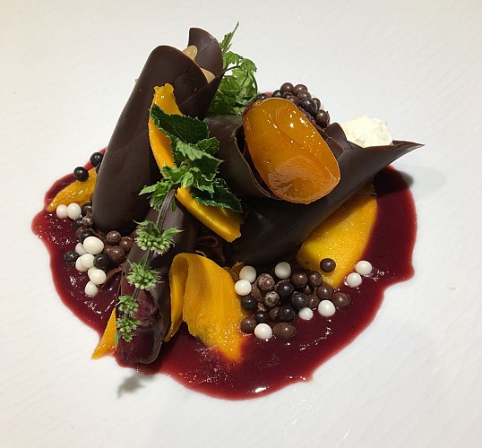 Le Pont Saint Etienne 3