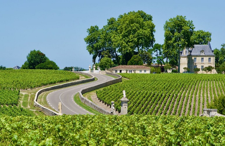 Pascal, Wine &amp; Co 5