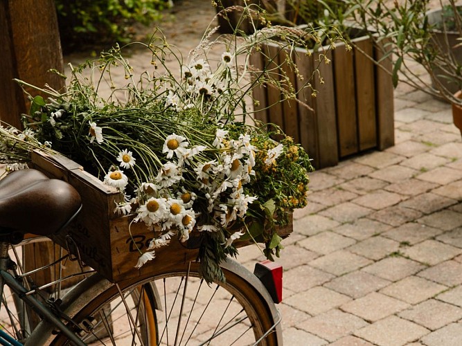 la-maison-plume-chambre-d-hotes-villequier-NolwennPernin (1)