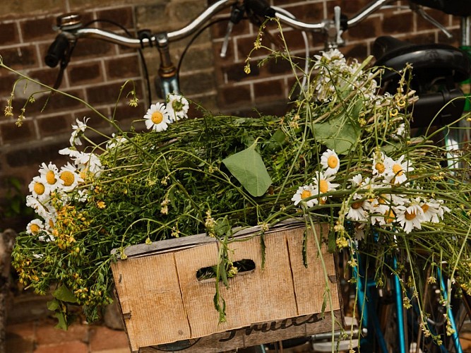 la-maison-plume-chambre-d-hotes-villequier-NolwennPernin (2)