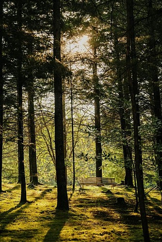 Lodge Spalazen nature Armand