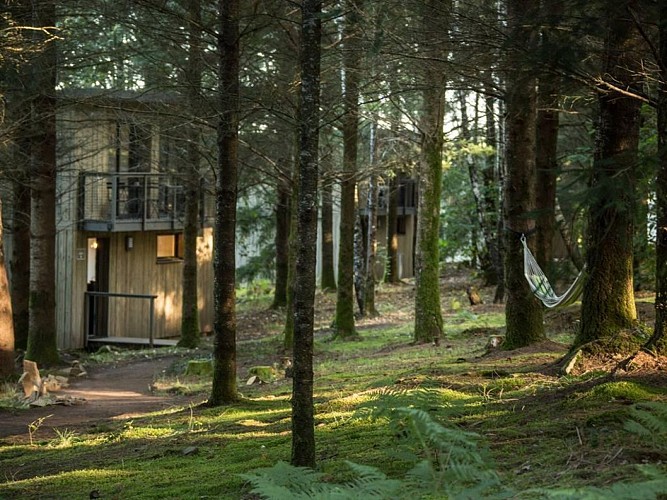 Lodge Spalazen nature Henry