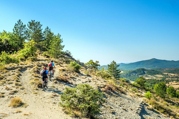 MTB-Aufenthalt Le Mythique, der unverzichtbare 100 % Singletrail!