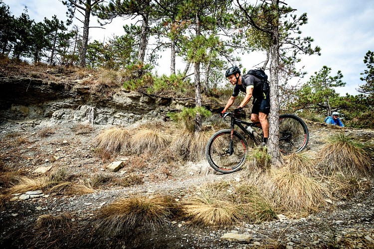 MTB-Aufenthalt Le Mythique, der unverzichtbare 100 % Singletrail!