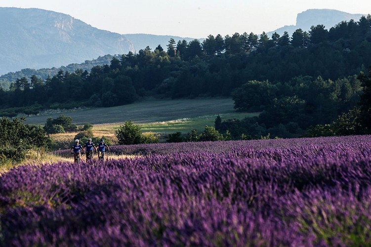 VTT n°15 - La Rando du Cairn