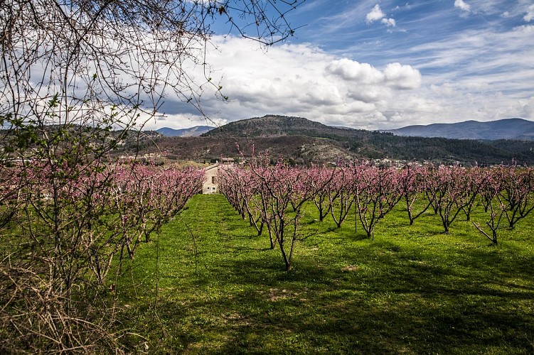 Le Premium Duo, Mountain bike Trip, ideal for couples !