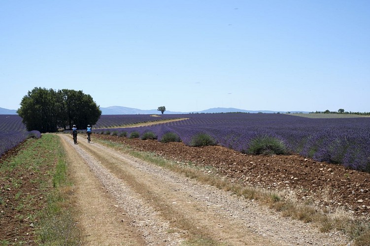 2 Tage GRAVEL Bike - Provence und Verdon