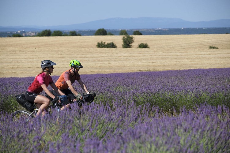 GRAVEL Bikepacking Trip in the Verdon