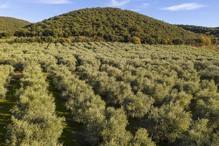 2 jours de vélo GRAVEL - Provence et Verdon