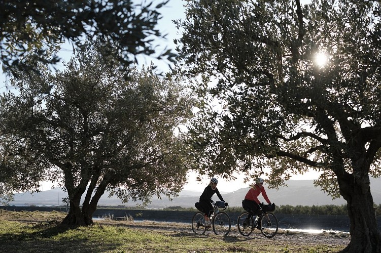 2 jours de vélo GRAVEL - Provence et Verdon