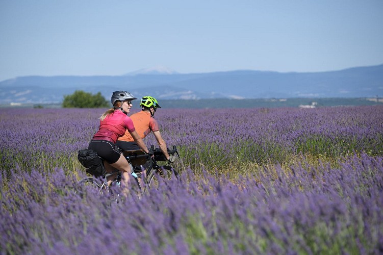 2 jours de vélo GRAVEL - Provence et Verdon