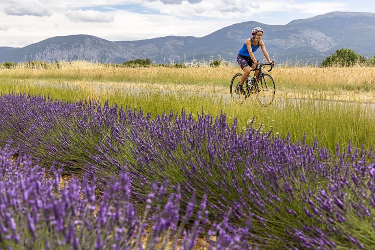 Séjour vélo de route - Tour Provence-Alpes