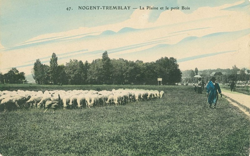 image du object