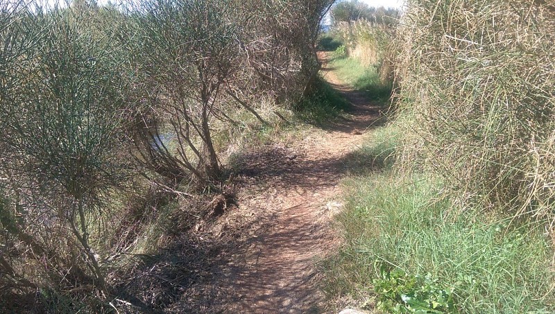 Franchissement délicat chemin en bordure des salins