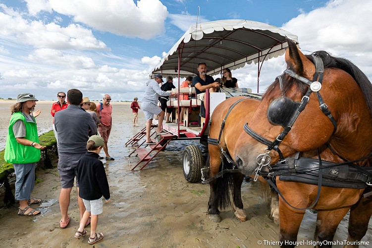 -Thierry-Houyel-IsignyOmaha-attelage-bdv-24