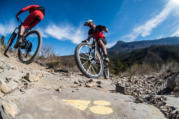 Le MaxiGéant MTB Aufenthalt, eine lange Reise von den Alpen in die Provence!