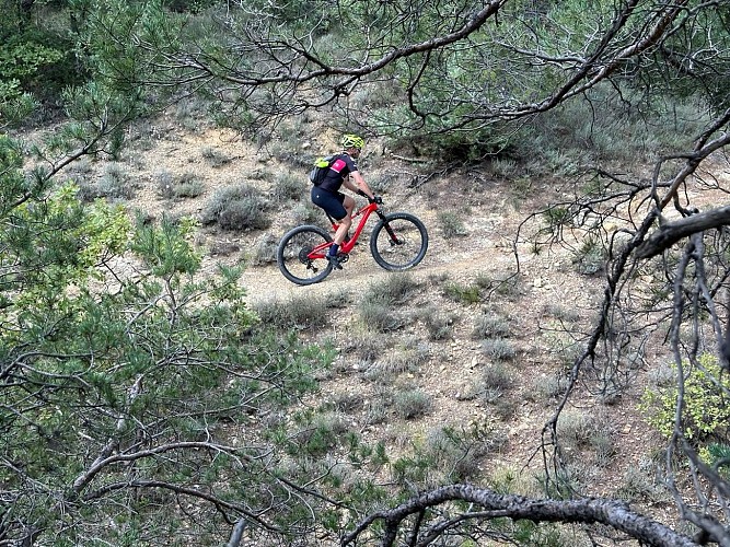 Mountain bike stay L'Authentique, the best trails of the area