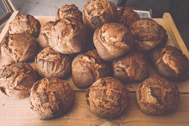 Le pain se lève