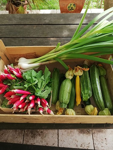 Martine à la ferme3