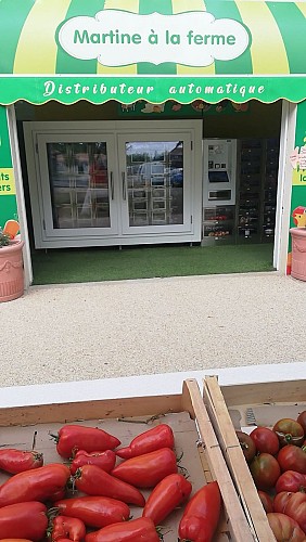 Martine à la ferme1