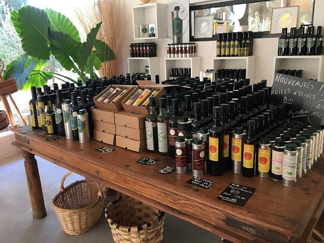 Le Moulin de Barbentane Ollier