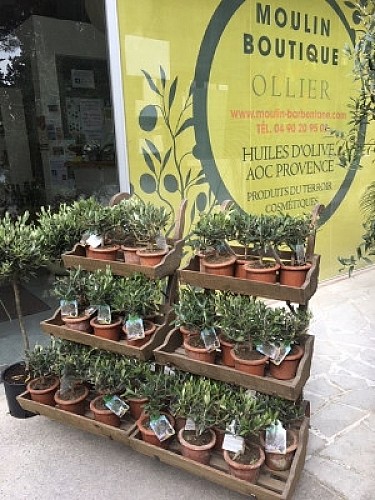 Le Moulin de Barbentane Ollier