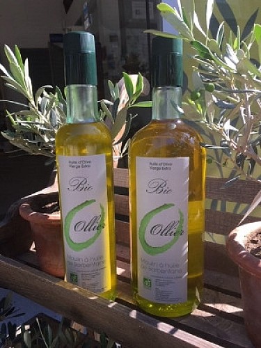 Le Moulin de Barbentane Ollier