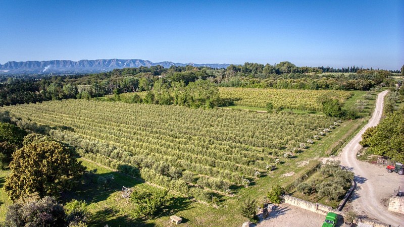 Moulin Domaine de Bournissac