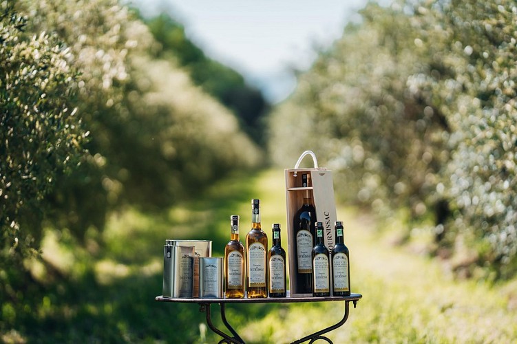 Moulin Domaine de Bournissac