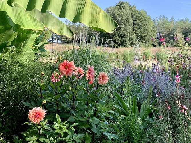 montignac de lauzun-les jardins du pays de lauzun-7