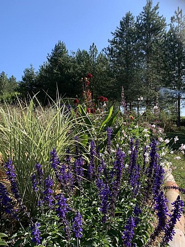 montignac de lauzun-les jardins du pays de lauzun-6