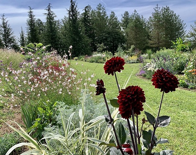 montignac de lauzun_jardins de clapiera_fleurs rouge