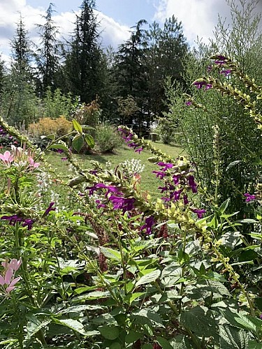 montignac de lauzun-les jardins du pays de lauzun-3
