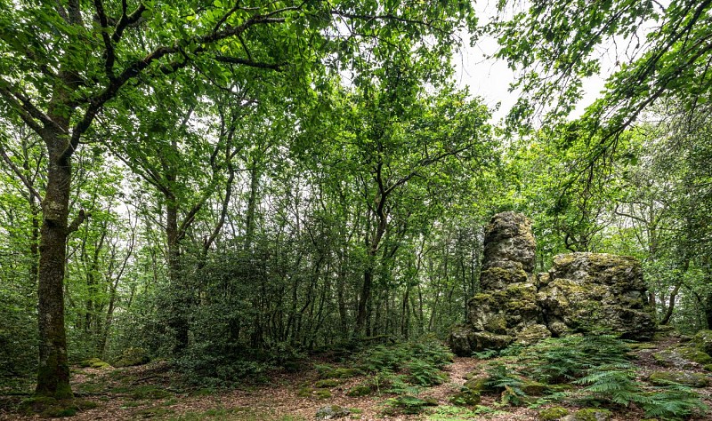 pierre aiguevillapourçon champagnat