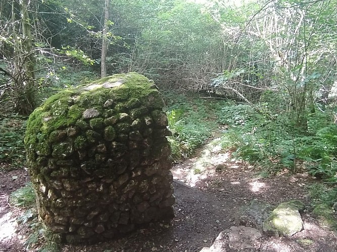 Fontaine à froid Justine et Olivier 2024-1