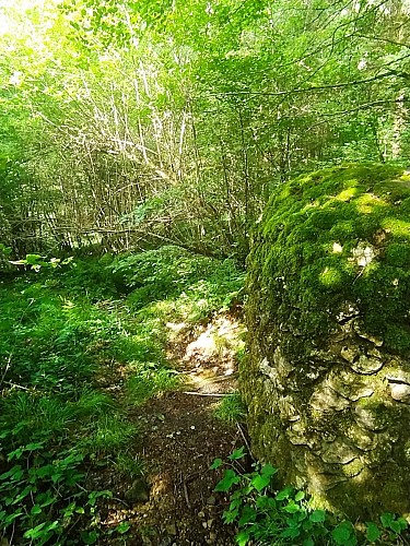 Fontaine à froid Justine et Olivier 2024