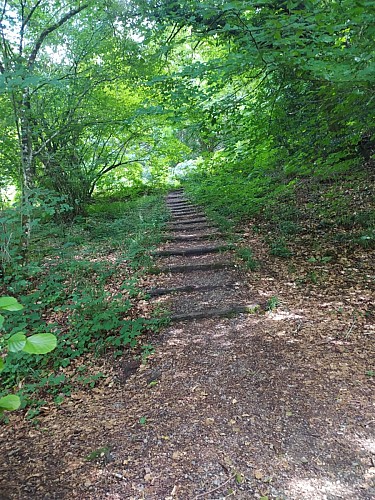 escalier de la fontaine à froid