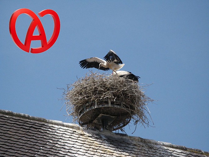 Meublé Au pied des cigognes - David et Nathalie CAFFIER