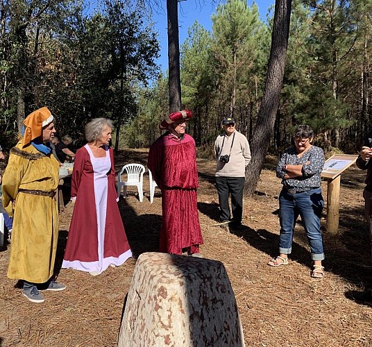 pierre de champ martin