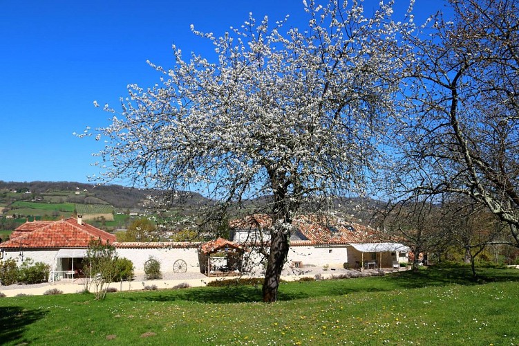 HLOAQU047V50LQMP_Penne_Domaine de Norpech_Le Pigeonnier_photo21