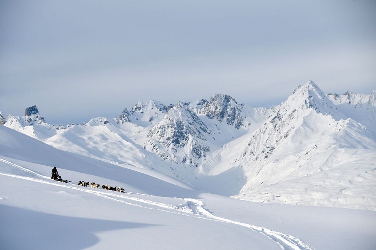 Hondensledetocht op de Dou du Praz