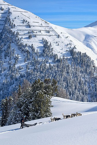 Hondensledetocht op de Dou du Praz