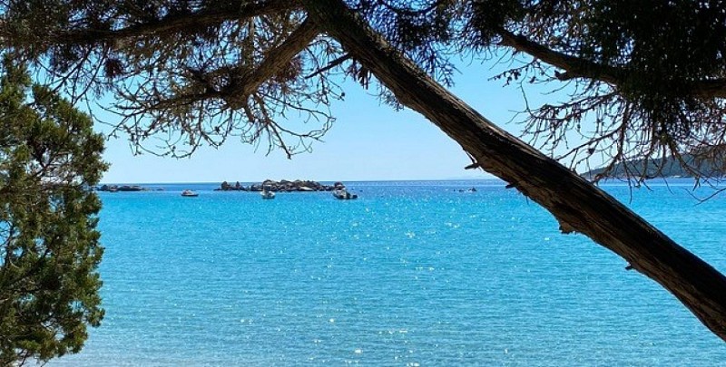 L'Évasion turquoise