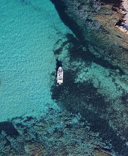 L'Évasion turquoise