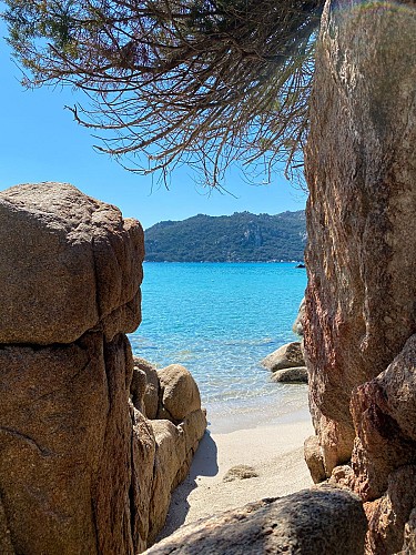 L'Évasion turquoise