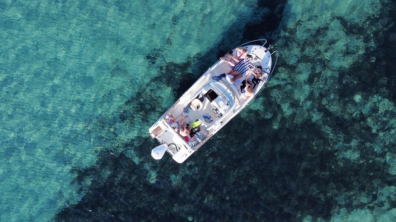 L'Évasion turquoise