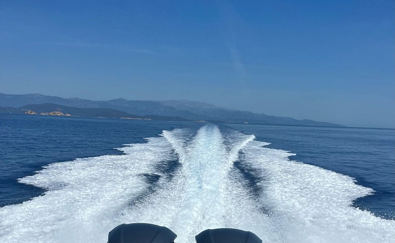 L'Évasion turquoise